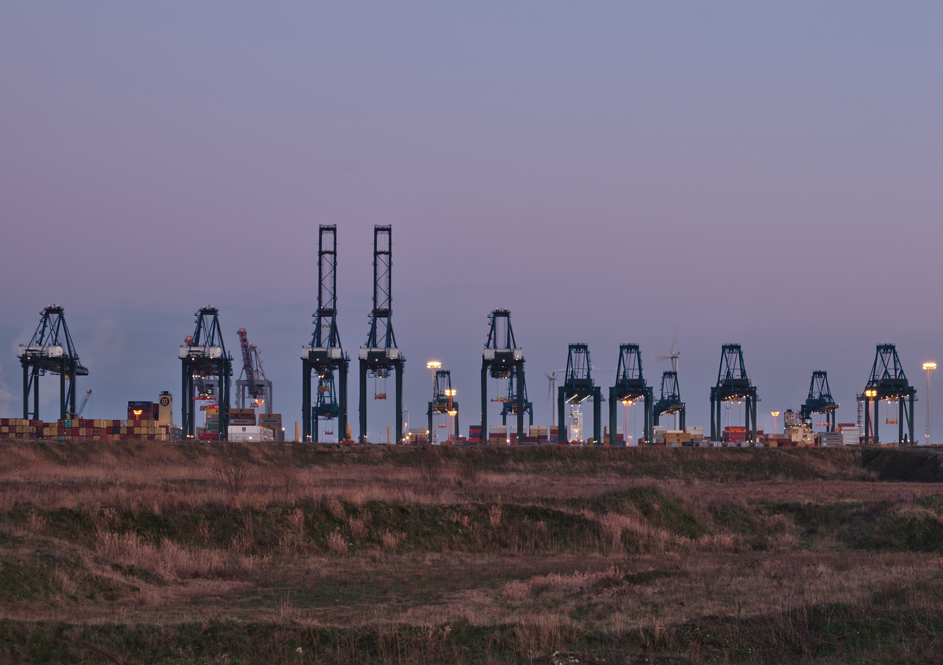 Container cranes over an export quay at a working container terminal
